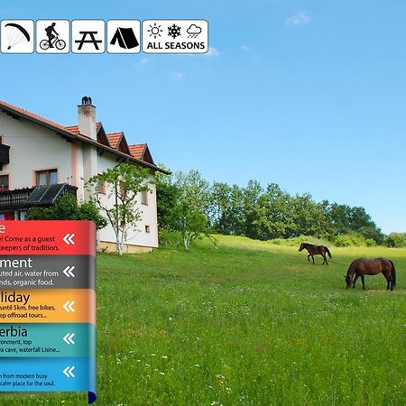 Eco Farm Milanovic Guest House Despotovac Exterior photo