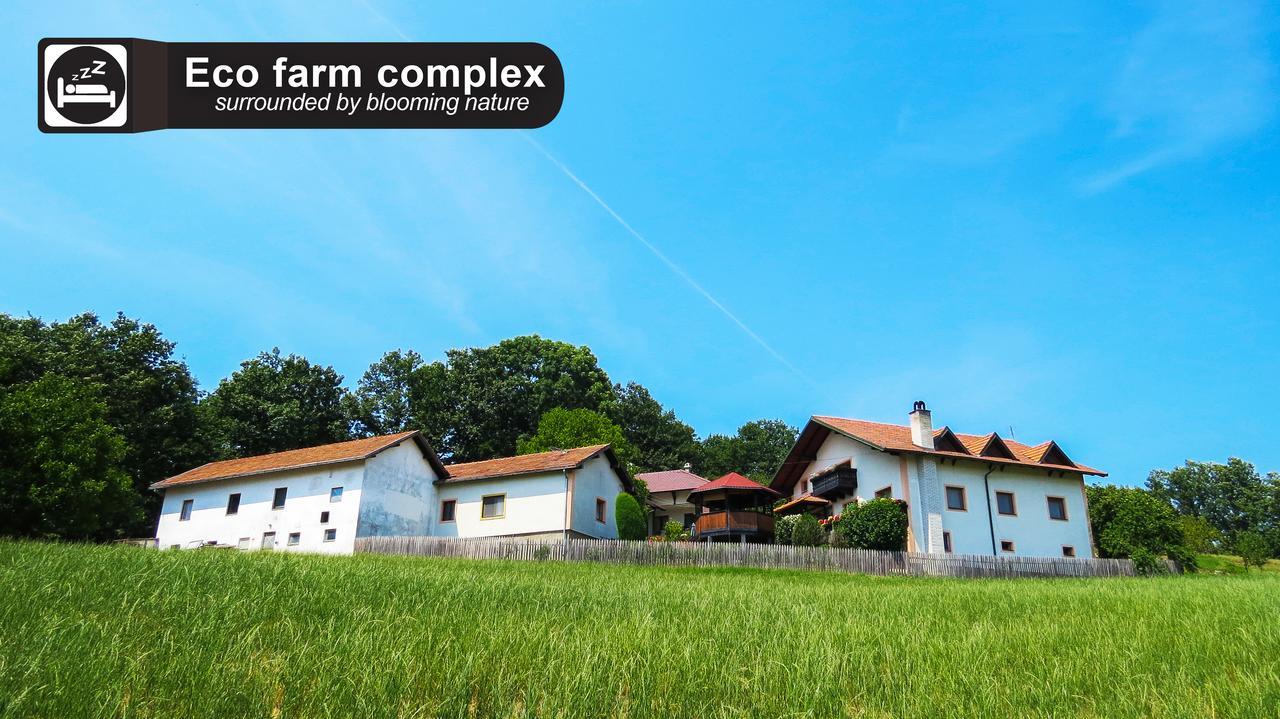 Eco Farm Milanovic Guest House Despotovac Exterior photo